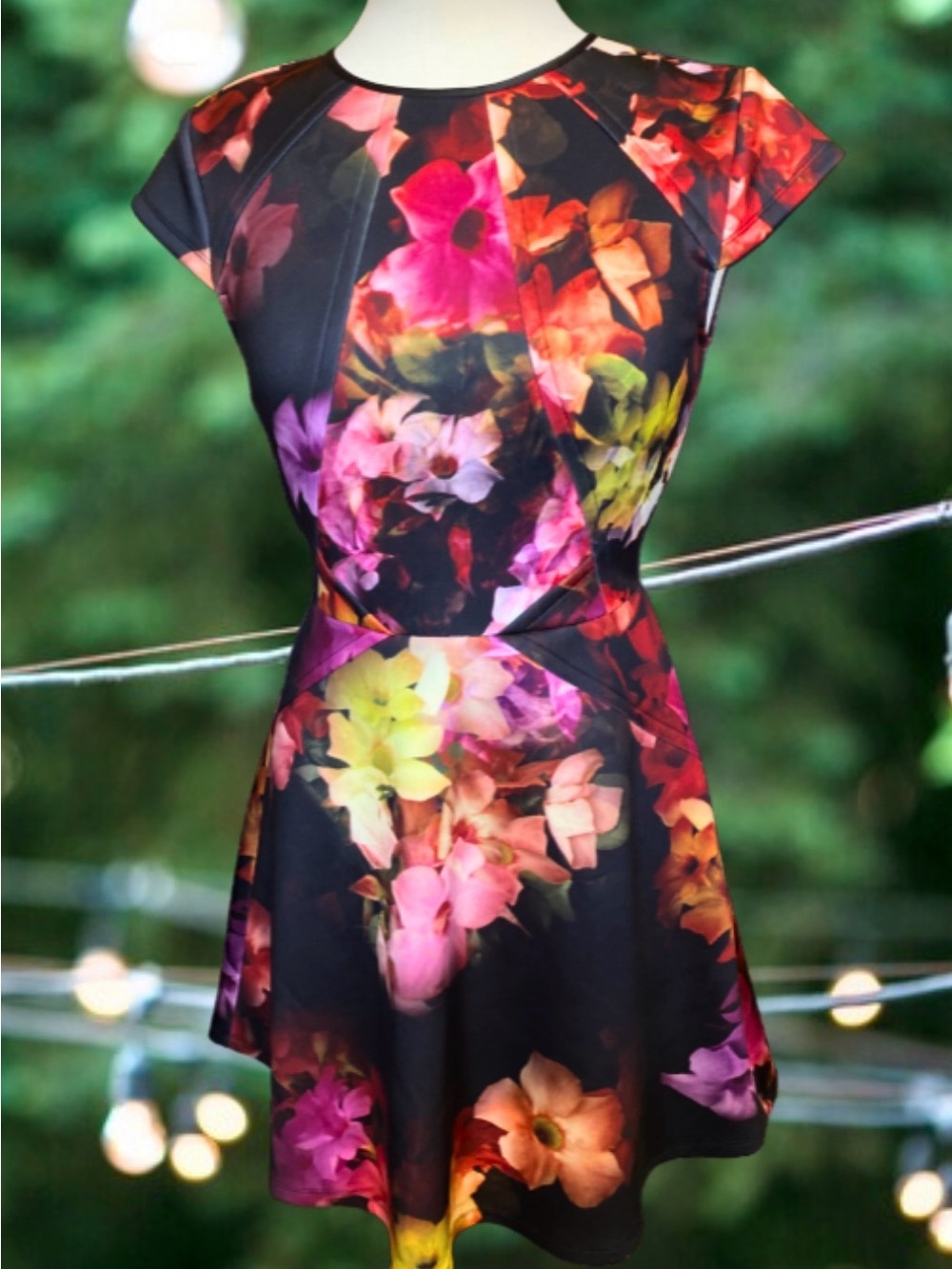 Ted Baker Embla Skater Floral Print Dress Size 2